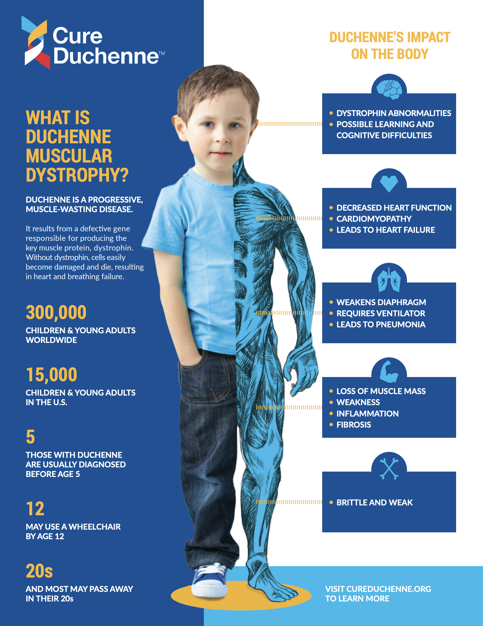 What is Duchenne? Infographic