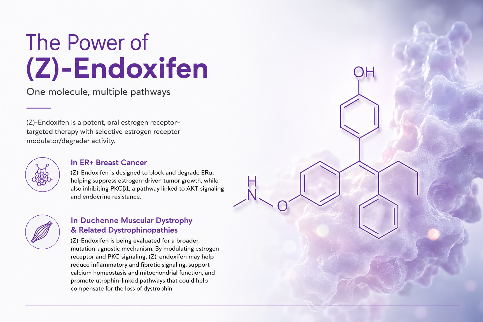 The Power of (Z)-Endoxifen